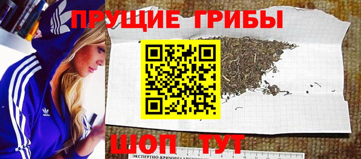 Галлюциногенные грибы прущие грибы  Вход с VPN  продажа наркотиков  Ноябрьск 