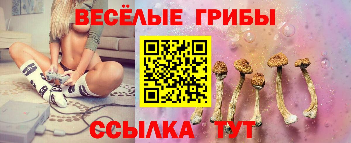 Галлюциногенные грибы ЛСД Ноябрьск